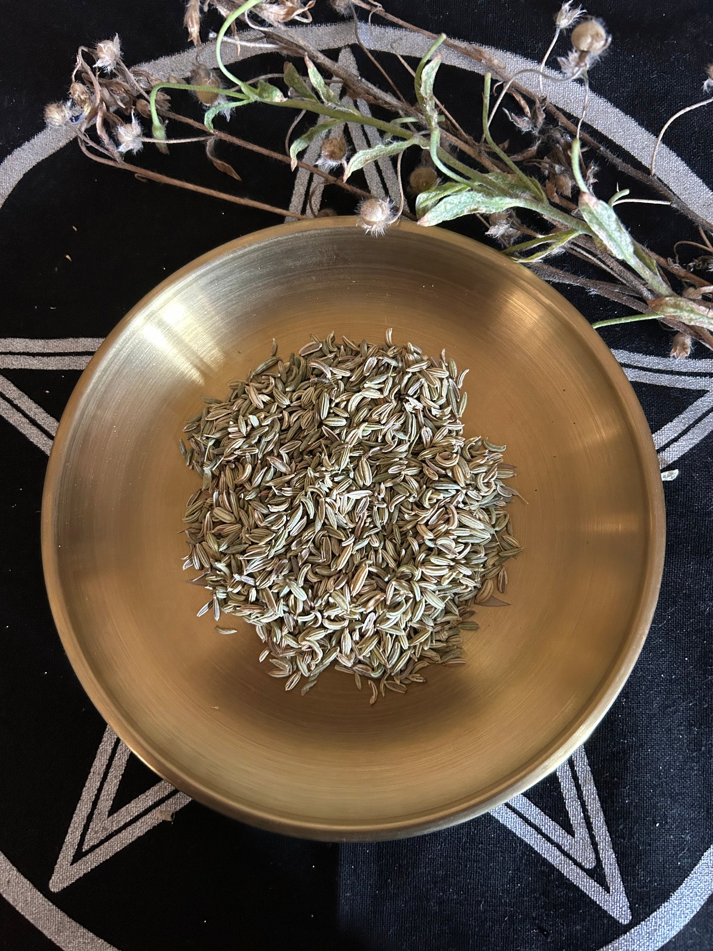 Fenouil - 15g-Protection, Clairvoyance & Purification- rituels de protection, purification, clairvoyance, courage et harmonie du foyer.