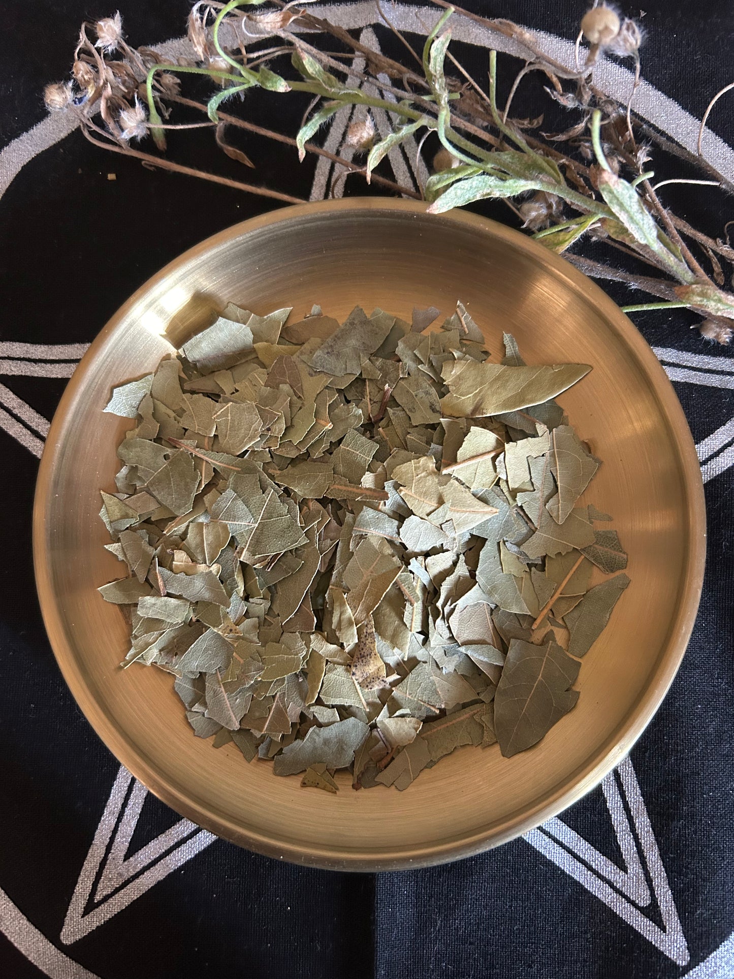 Laurier - 15g- Flamme du Pouvoir & de la Victoire -  rituels de réussite, protection, prophétie, purification et manifestation.