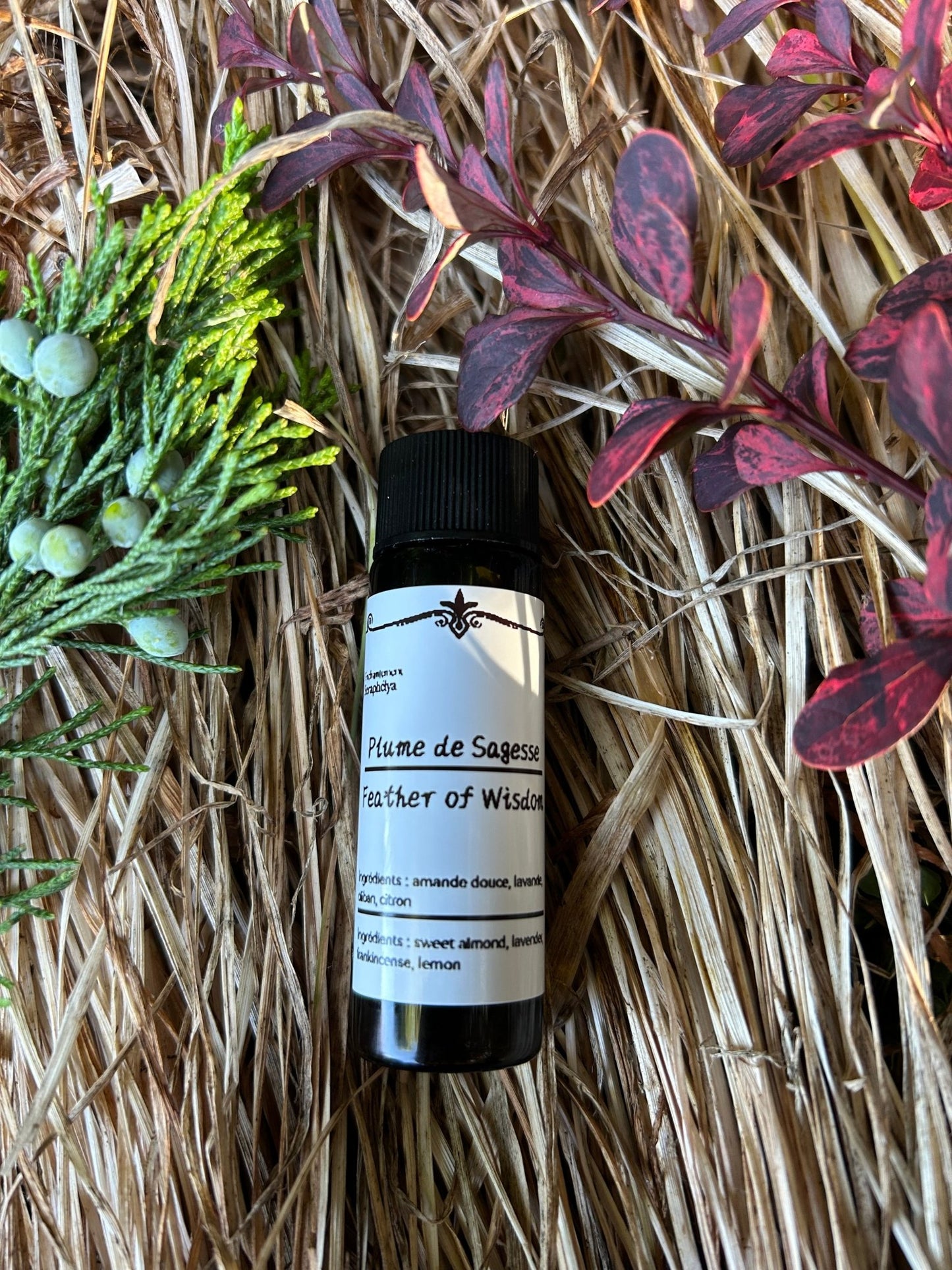 bougieherbeshuilerituelmagiqueseraphélya - boutique_shop_enchantement_seraphélyaPlume de SagessePlume de SagessePlume de SagessePlume de SagessePlume de SagessePlume de SagessePlume de Sagessevar