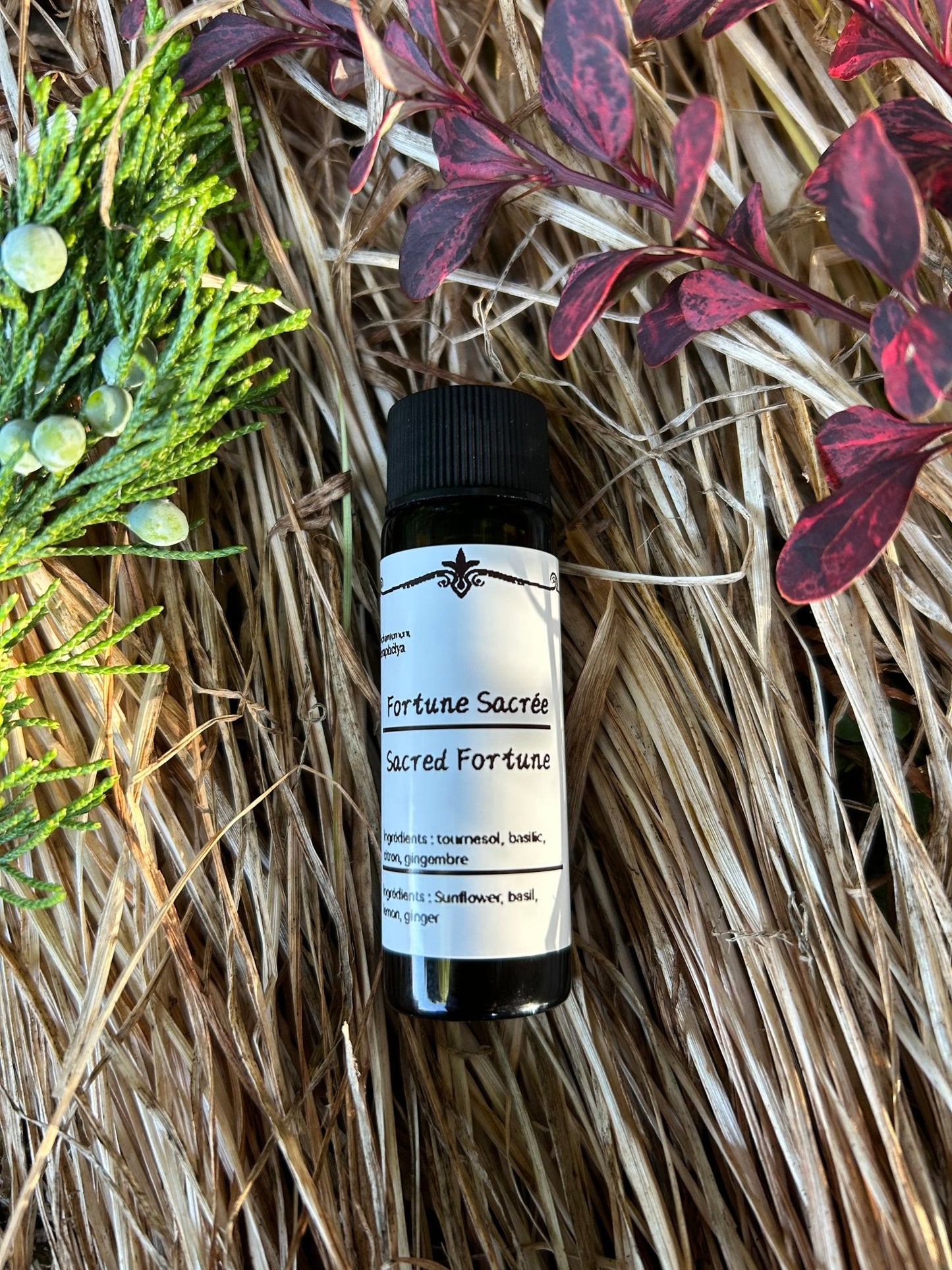 bougieherbeshuilerituelmagiqueseraphélya - boutique_shop_enchantement_seraphélyaFortune SacréeFortune SacréeFortune SacréeFortune SacréeFortune SacréeFortune SacréeFortune Sacréevar
