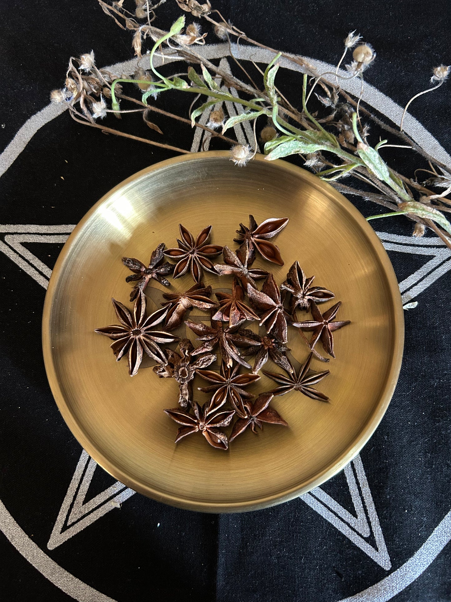 Anis Étoilé - 15g-  Flamme de Clairvoyance & de Protection Magique - rituels de clairvoyance, de protection spirituelle, de chance et de rêve prophétique.