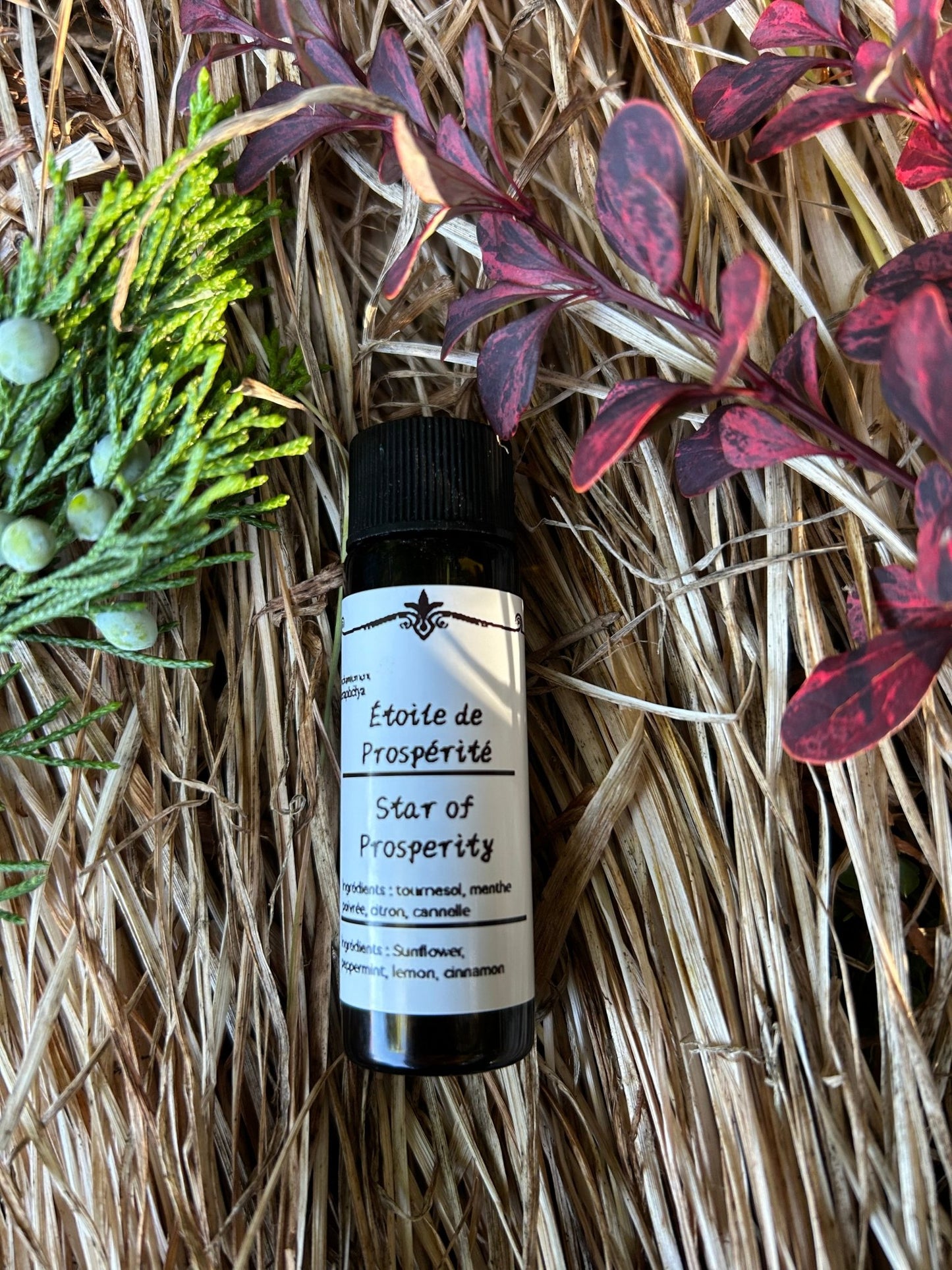 bougieherbeshuilerituelmagiqueseraphélya - boutique_shop_enchantement_seraphélyaÉtoile de ProspéritéÉtoile de ProspéritéÉtoile de ProspéritéÉtoile de ProspéritéÉtoile de ProspéritéÉtoile de ProspéritéÉtoile de Prospéritévar