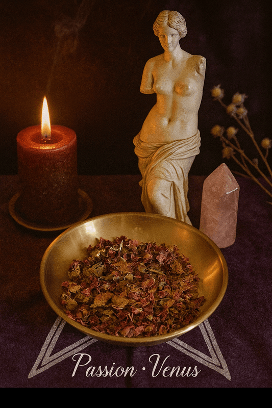 bougieherbeshuilerituelmagiqueseraphélya - boutique_shop_enchantement_seraphélyaSéduction Ardente - 15g - Désir, Passion & Charme Envoûtant - rituels d’amour passionné, séduction, attraction, confiance et énergie de Vénus.Séduction Ardente - 15g - Désir, Passion & Charme Envoûtant - rituels d’amour passionné, séduction, attraction, confiance et énergie de Vénus.Séduction Ardente - 15g - Désir, Passion & Charme Envoûtant - rituels d’amour passionné, séduction, attraction, confiance et énergie de 