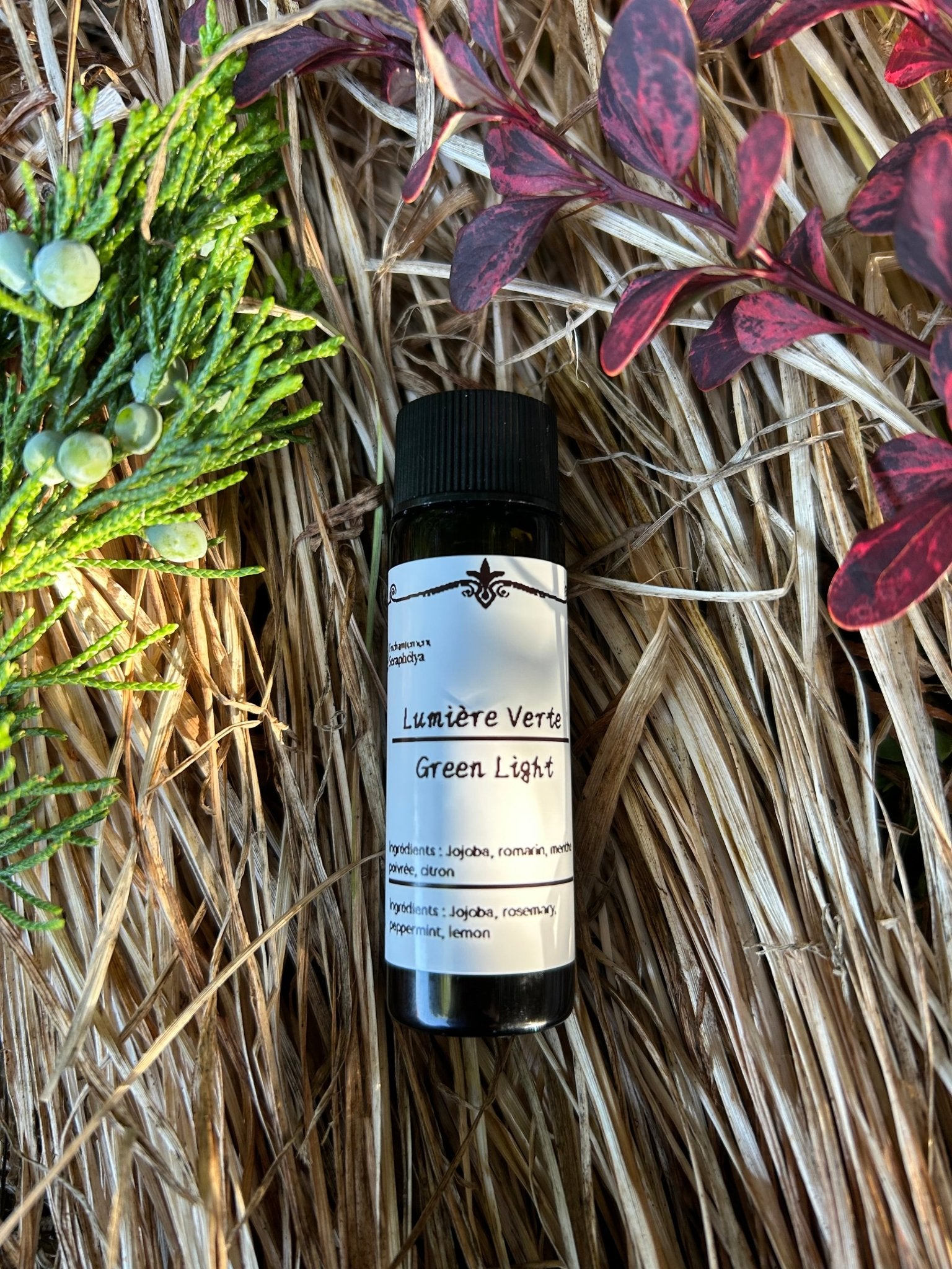 bougieherbeshuilerituelmagiqueseraphélya - boutique_shop_enchantement_seraphélyaLumière VerteLumière VerteLumière VerteLumière VerteLumière VerteLumière VerteLumière Vertevar